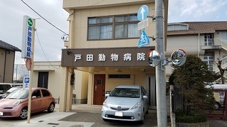 20170130_121231.jpg