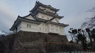 20180128_073931_R.jpg