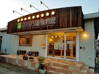 20180314_174631.jpg