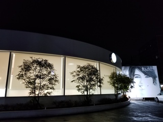 20190306_221305.jpg