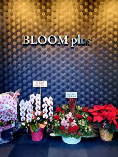 20201211_232712_R.jpg