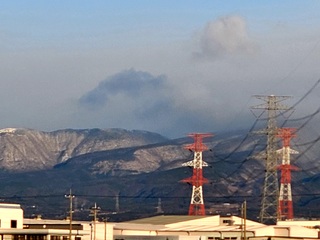 20201217_073446.jpg