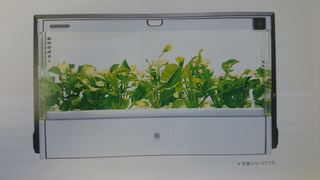DSC_2068_R.JPG