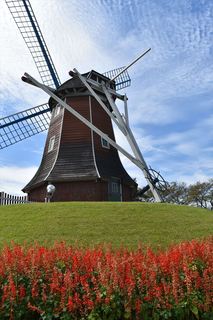 DSC_2543_R.JPG