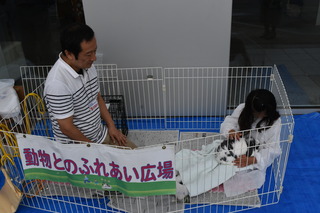 DSC_3399.JPG